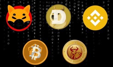 Top 5 Promising Cryptocurrencies That You Can Buy In May 2022