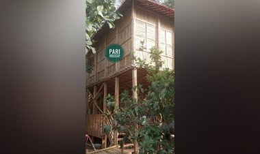 Pari Innovation Provides High-Quality & Eco-Friendly Bamboo Products At Affordable Prices