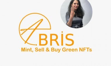Democratising the world of NFTs, Abris.io is enabling businesses to join the WEB 3 ecosystem seamlessly