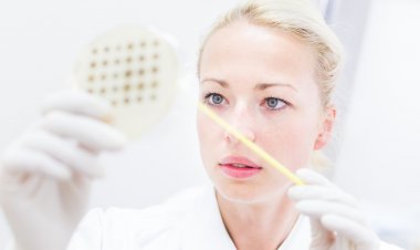 LANXESS completes acquisition of IFF’s microbial control business