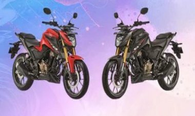 Honda CB300F: Another Powerful Streetfighter Bike Launched, Priced At Rs 2.25 Lakh