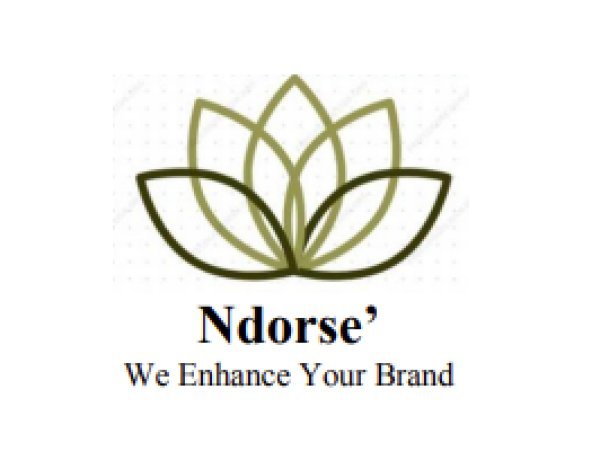 India Assist Partners with NDORSE' to Expand Sales and Marketing Reach