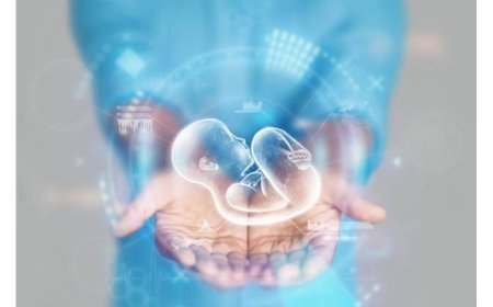 IVF Treatment in India: How Much Does it Cost